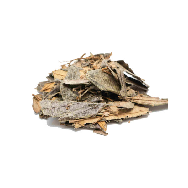 Canela de velho 18g