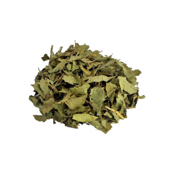 Espinheira santa 18g