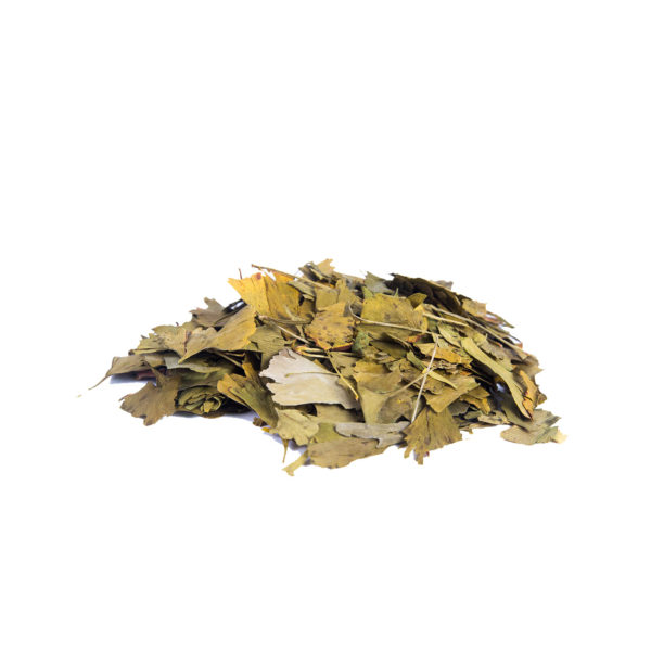 Ginkgo Biloba 20g