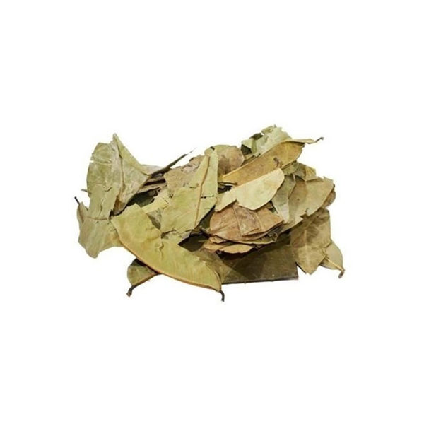 Graviola folhas 18g