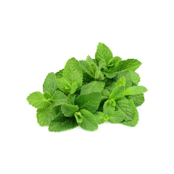 Hortelã 18g